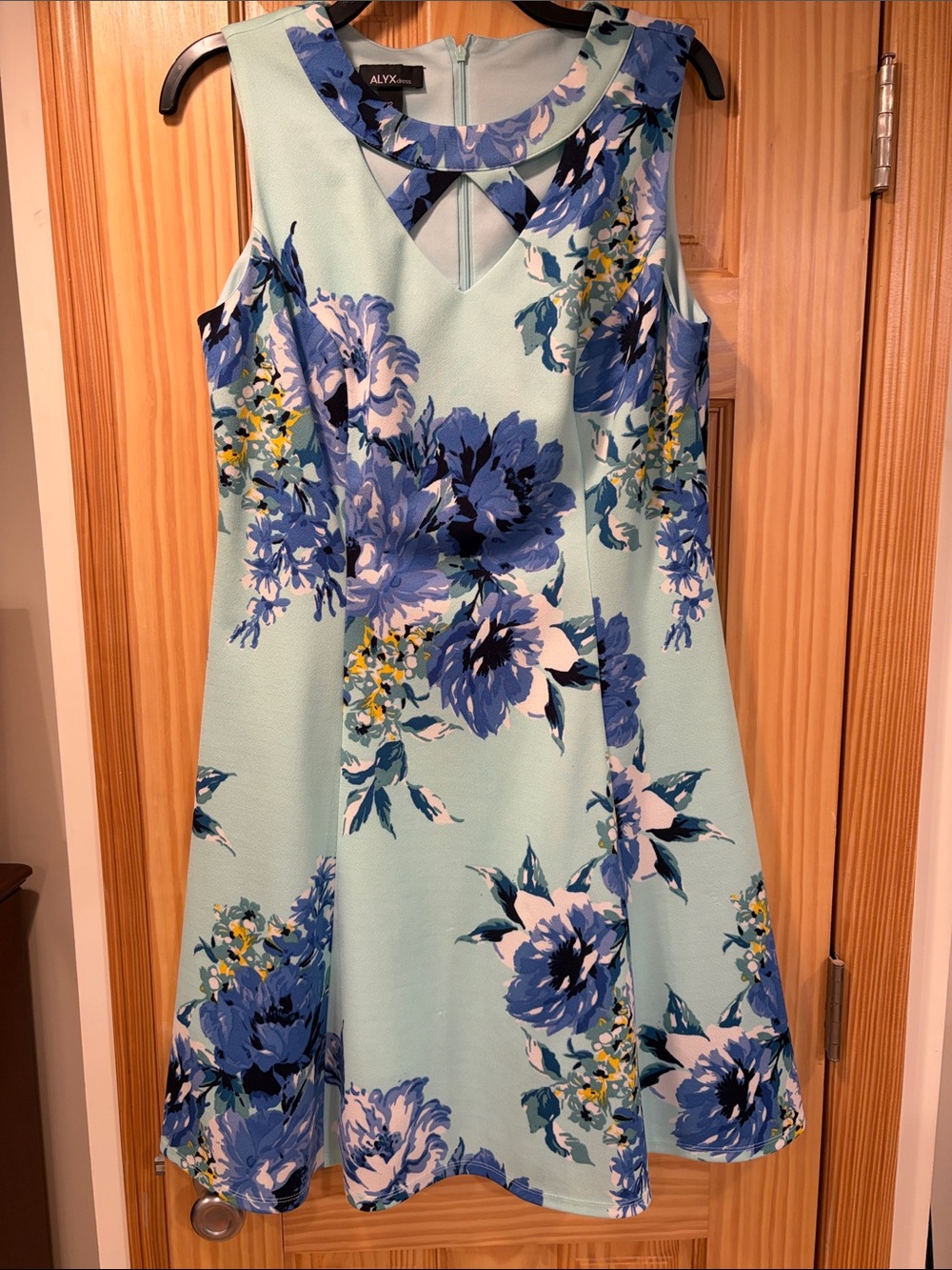 Alyx Mint Floral Fit-and-Flare Dress with Blue Blooms